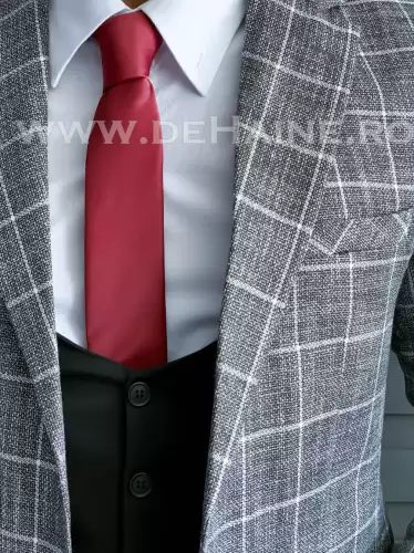 Cravata barbati B1479