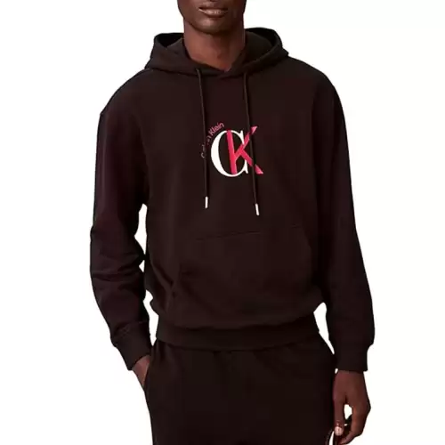 Hanorac Calvin Klein LS EU 350TERRY GRAPHIC HOODIE