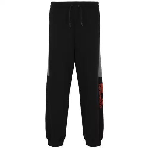 Pantaloni EA7 M Special Logo pants CH BR